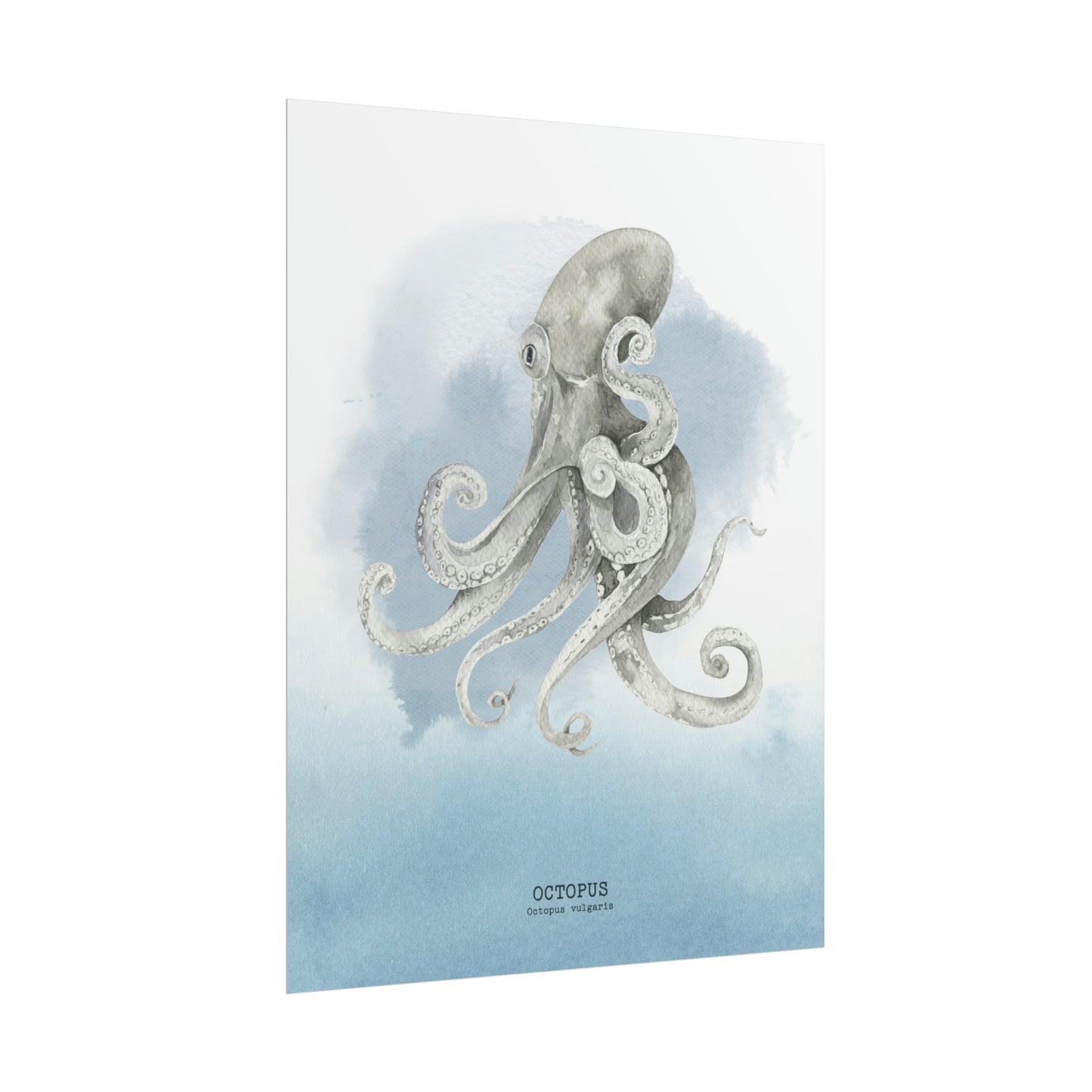 Octopus Watercolor Poster