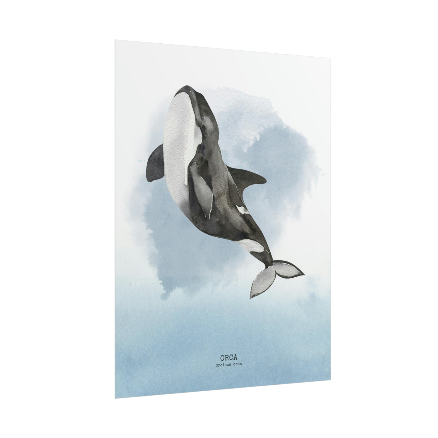 Orca Watercolor Poster