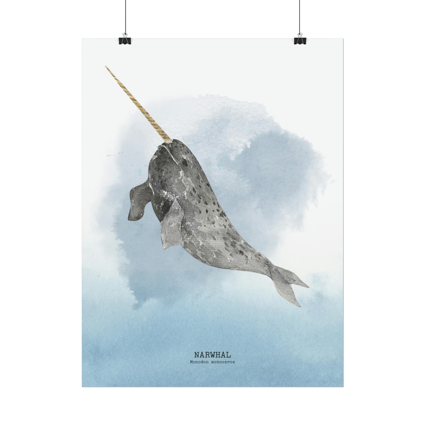 Narwhal Watercolor Poster