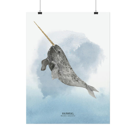 Narwhal Watercolor Poster