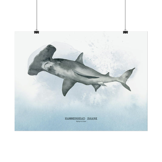 Humerhead Shark Watercolor Poster