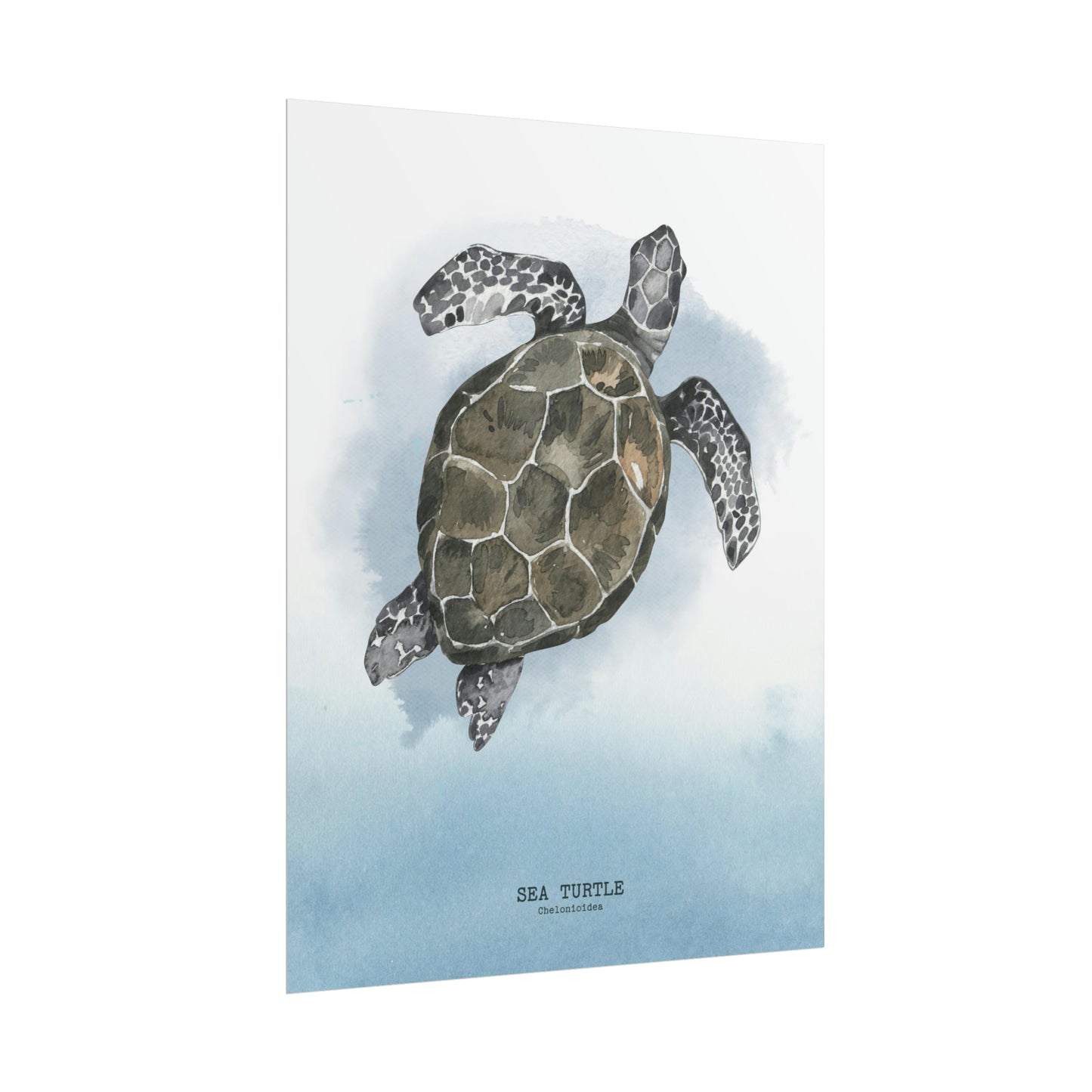 Sea Turtle Watercolor Poster