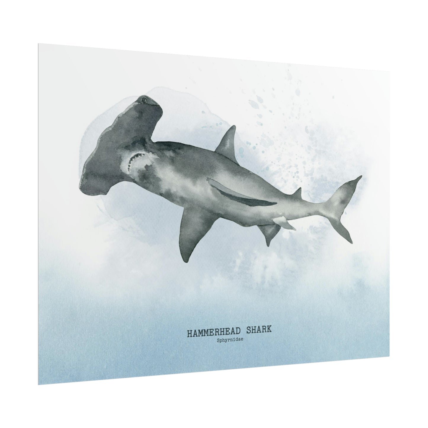 Humerhead Shark Watercolor Poster