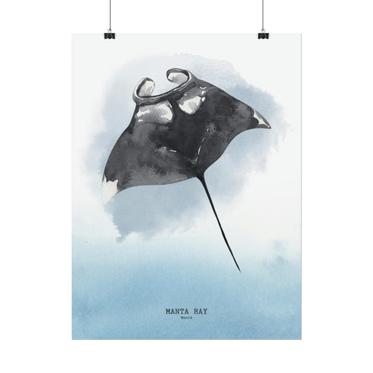 Manta Ray Watercolor Poster
