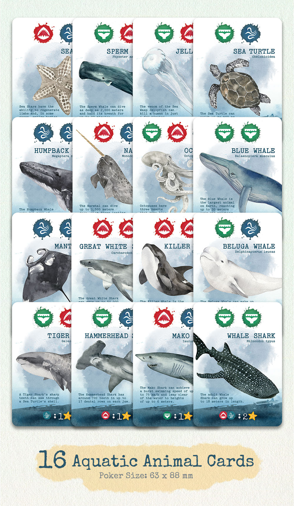Pacific Ocean Card Game