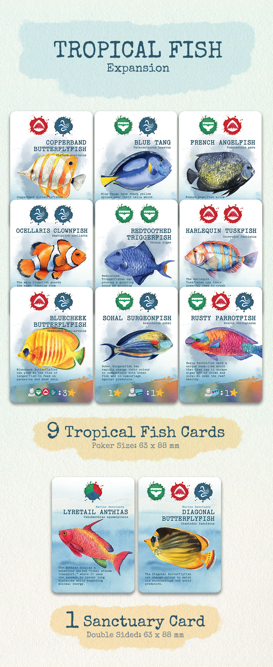 Pacific Ocean Card Game
