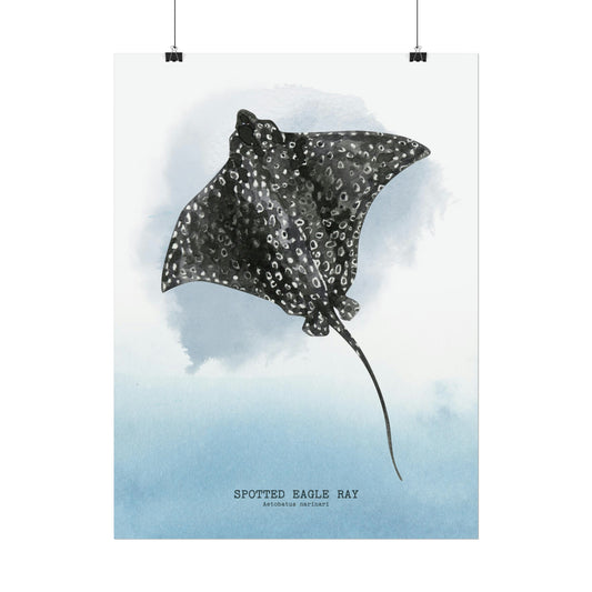 Spotted Eagle Ray Watercolor Poster