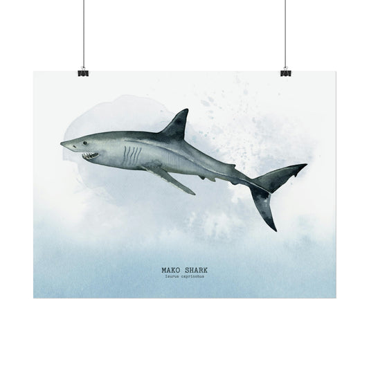 Mako Shark Watercolor Poster