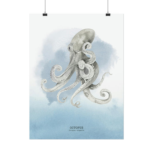 Octopus Watercolor Poster