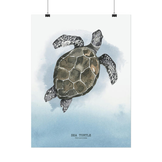 Sea Turtle Watercolor Poster