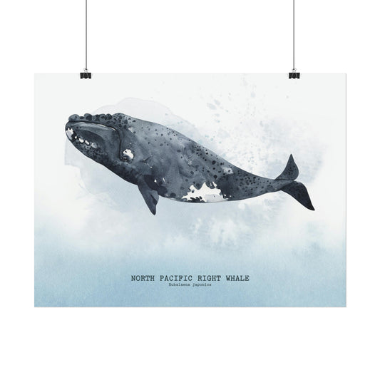 North Pacific Whale Watercolor Poster