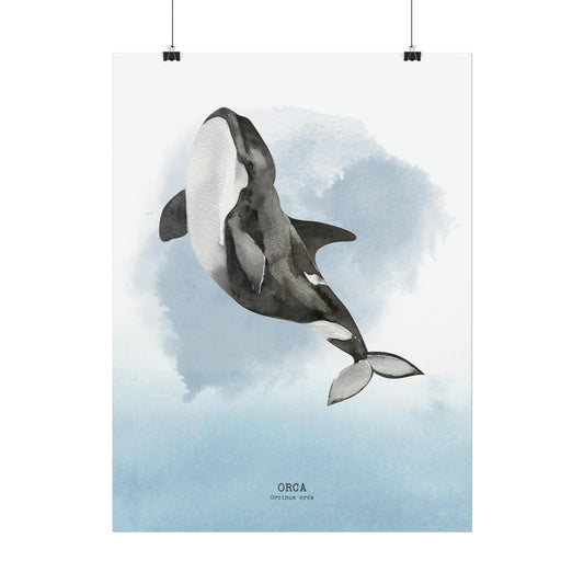 Orca Watercolor Poster