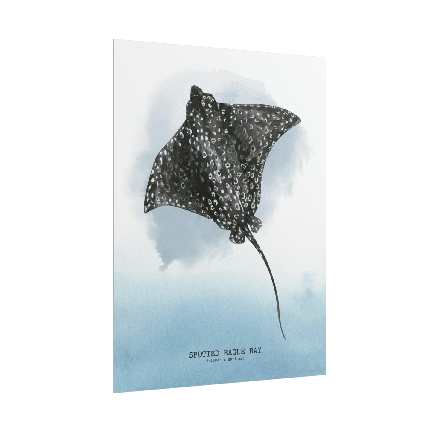 Spotted Eagle Ray Watercolor Poster